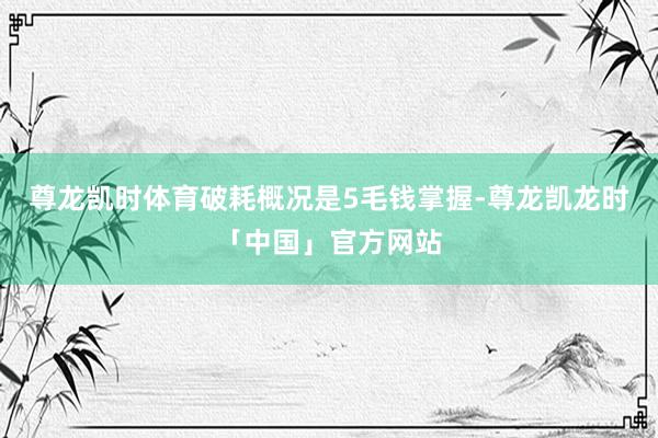 尊龙凯时体育破耗概况是5毛钱掌握-尊龙凯龙时「中国」官方网站