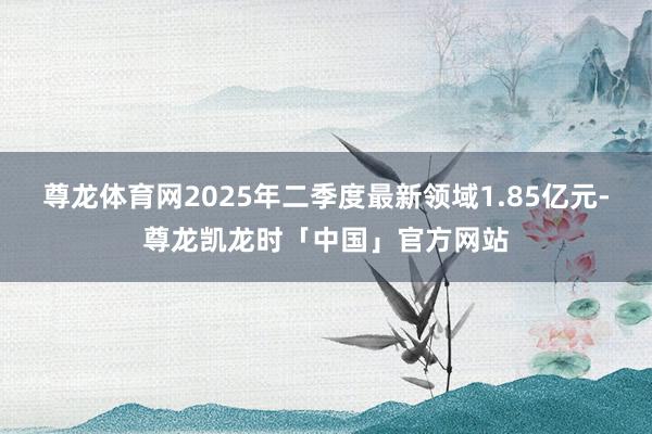 尊龙体育网2025年二季度最新领域1.85亿元-尊龙凯龙时「中国」官方网站