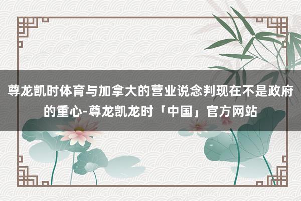 尊龙凯时体育与加拿大的营业说念判现在不是政府的重心-尊龙凯龙时「中国」官方网站