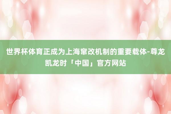 世界杯体育正成为上海窜改机制的重要载体-尊龙凯龙时「中国」官方网站