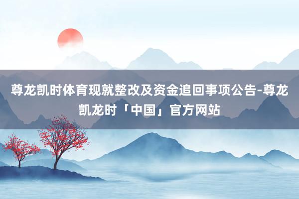 尊龙凯时体育现就整改及资金追回事项公告-尊龙凯龙时「中国」官方网站