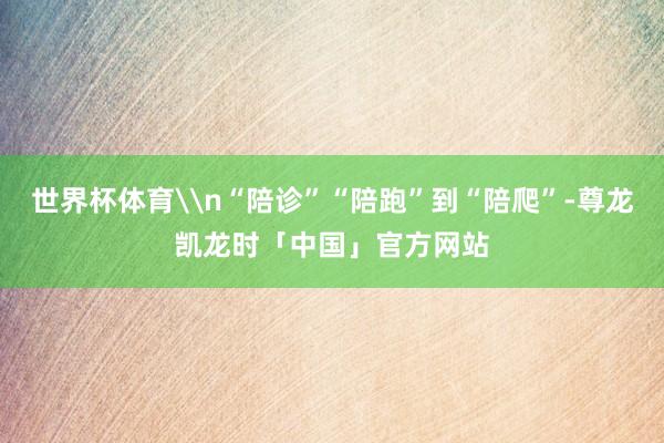 世界杯体育\n“陪诊”“陪跑”到“陪爬”-尊龙凯龙时「中国」官方网站