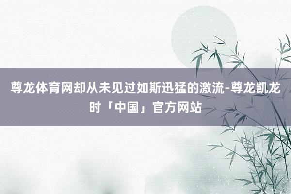 尊龙体育网却从未见过如斯迅猛的激流-尊龙凯龙时「中国」官方网站